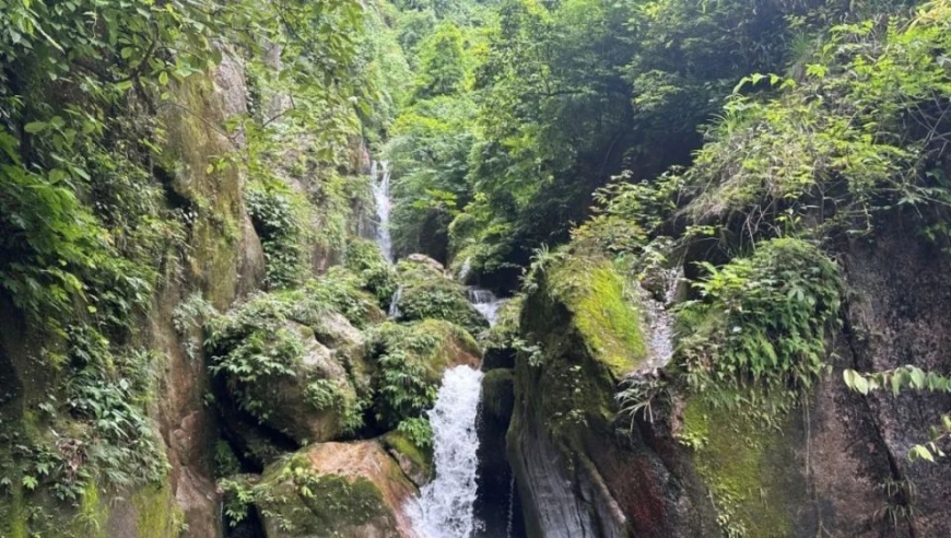 黄金三原则：农夫山泉在残酷的网暴中挺立不倒

以坚毅之心应对网络攻击——农夫山泉：抗击海啸的典范