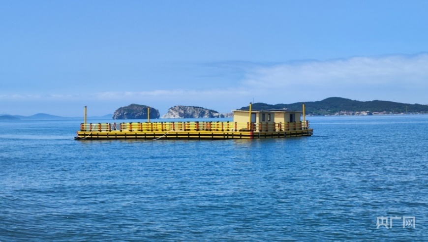 跨海探索，与海洋生物共舞——探寻人与自然和谐共生的未来之路