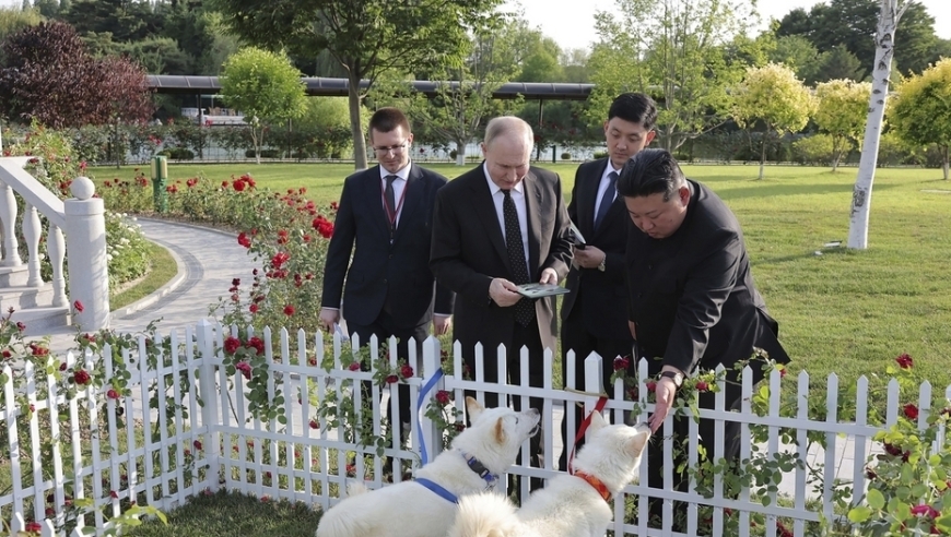 金正恩赠俄两国标志性犬种：一只承载着深厚友谊的礼物