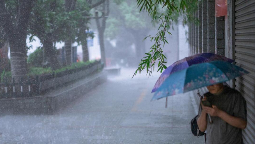 夏日雷阵雨，山间石缝里藏着满满的粮食