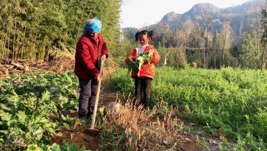 父女同住校园 6岁女孩因奶奶工作家庭变艰难，靠自身能力成为奶奶的小帮手