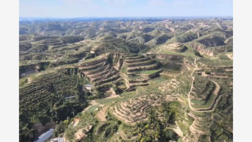 陕西榆林：沙漠中崛起的绿色奇迹——从沙海变绿洲，生机盎然的沙漠经济实践