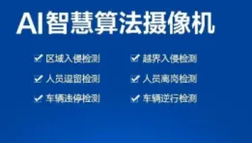 完善在线监控视频AI识别功能：客户需求的关键洞察