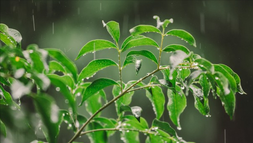 今年梅雨连绵不断，天气寒冷吗？