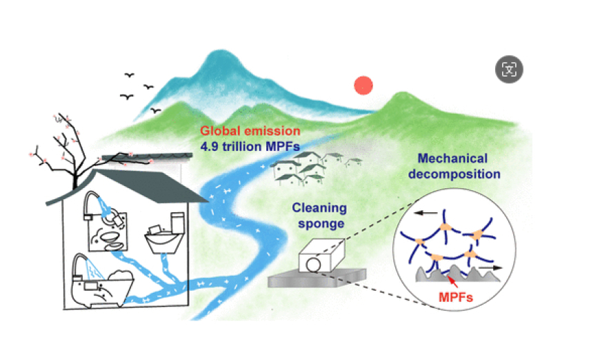 新型海绵与微塑料研究揭示惊人结果：每15天释放1.55万亿微塑料！东大等团队发布最新研究成果