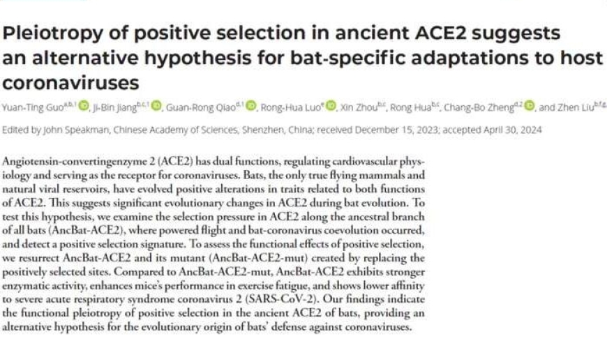 我国科学家揭示蝙蝠对新冠病毒的免疫力及免疫机制：新的研究进展令人振奋