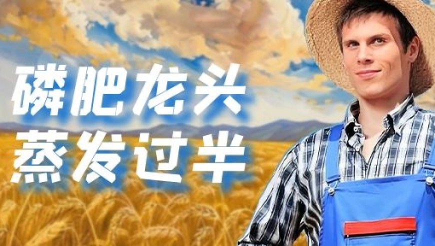 磷肥龙头业绩腰斩：市值蒸发近半，利润损失超60%