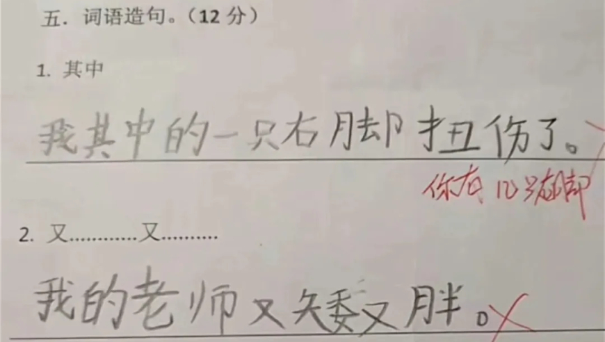 小学生作业引发教师喜笑颜开！网友揭秘孩子胡言乱语背后的真实信息