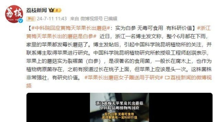 【中科院回应】揭秘：黄梅天苹果竟然长出蘑菇？真相让人惊异