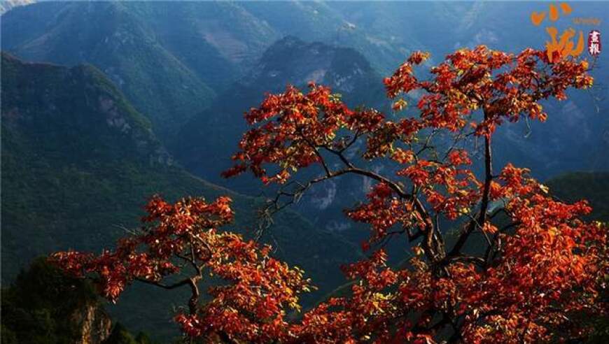 陇南夏季风情——相约徽县，邂逅如画山水