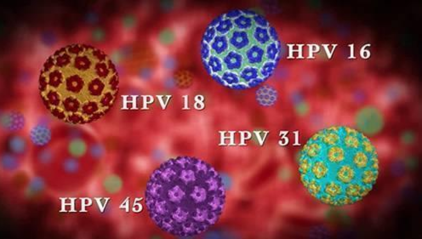 提升免疫力，普及HPV预防知识：为何70%的人并未了解这个关键策略？