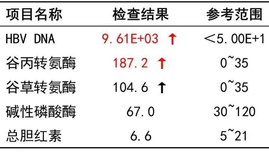 了解乙肝何时开始抗病毒，这里有权威解答