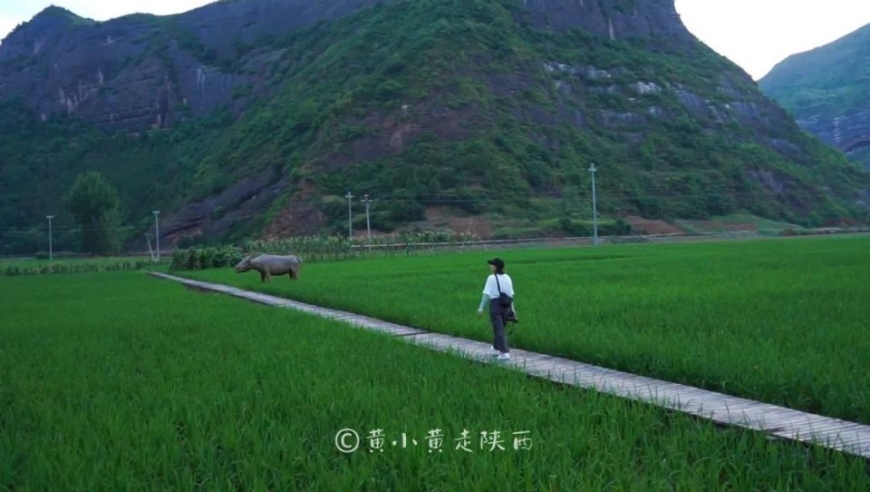 惊喜发现：秦岭北麓隐藏的田园风光——稻田飞瀑与流水潺潺的隐世画卷