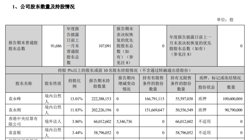 东山精密上市14年,袁氏父子持股量腰斩背后:揭示公司秘密