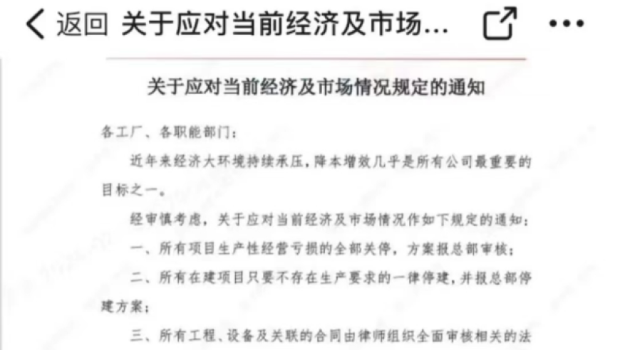 合盛硅业的裁员与降薪：实控人罗立国的妻子也曾遭到前总经理的举报