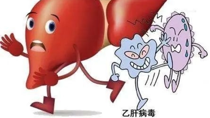 网上热议：是否因感染乙肝而终身携带?