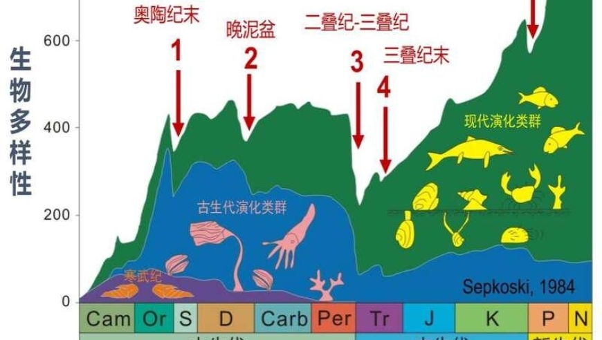 视觉影响：大灭绝时期‘显眼包’更容易发生‘形态选择性灭绝’现象吗?