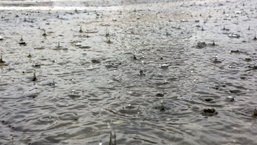 探究揭示：近百年间全球降雨量显著增加的主要原因