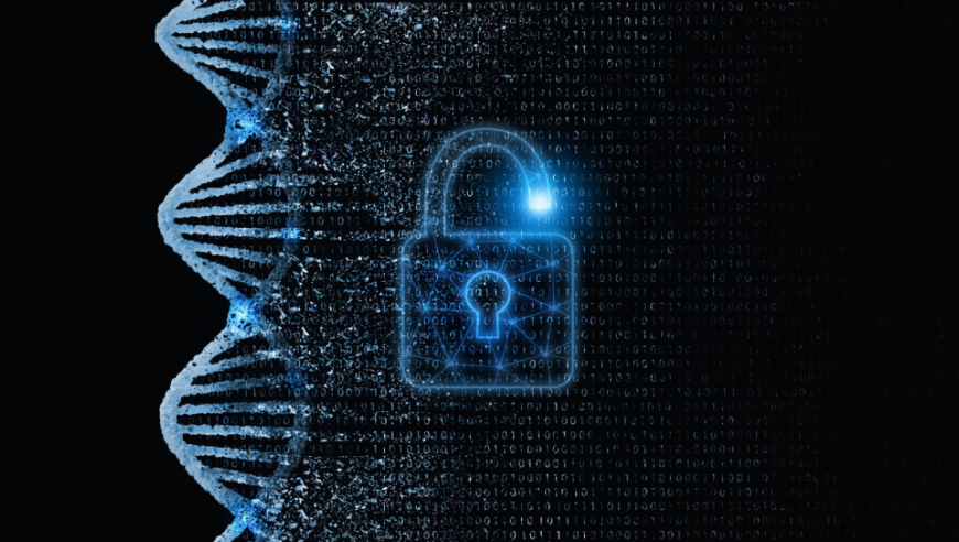 基因编辑技术的成功应用：首次在人体肠道中实现细菌基因的直接修改