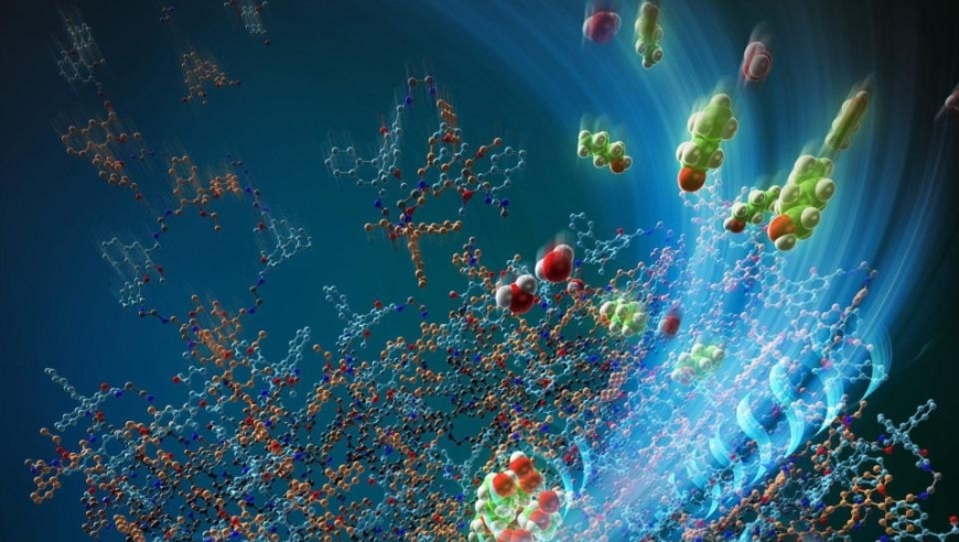 掌握未来趋势：揭秘新的双功能超分子结构及其潜在应用