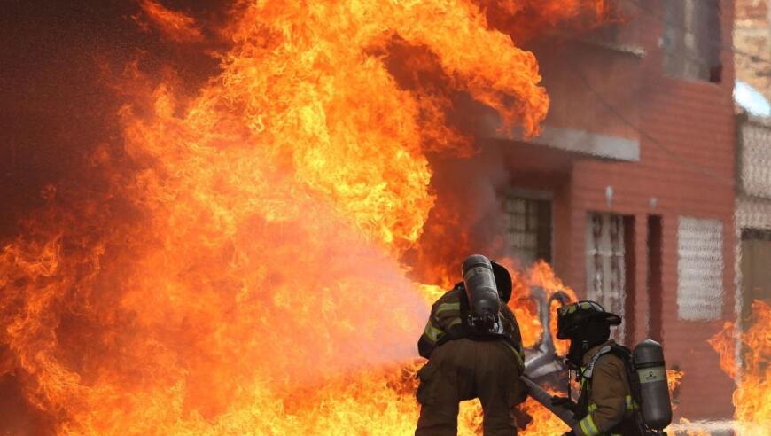 全球主要产地爆发性增长导致维生素价格上涨，国内巨头望借此契机转型升级