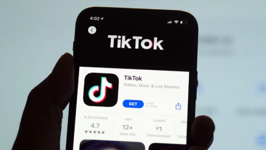 全球共有超 4 万审核员的 TikTok，您的是否被严格审查？