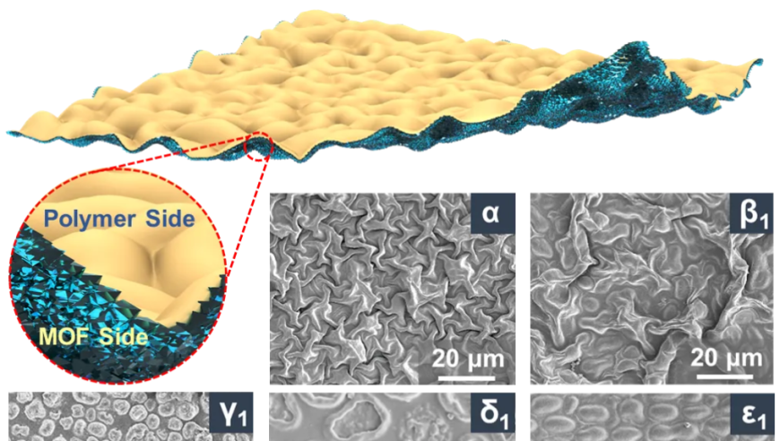 浙江大学研发全新褶皱型MOF薄膜，造福可穿戴设备，成果登《科学》杂志