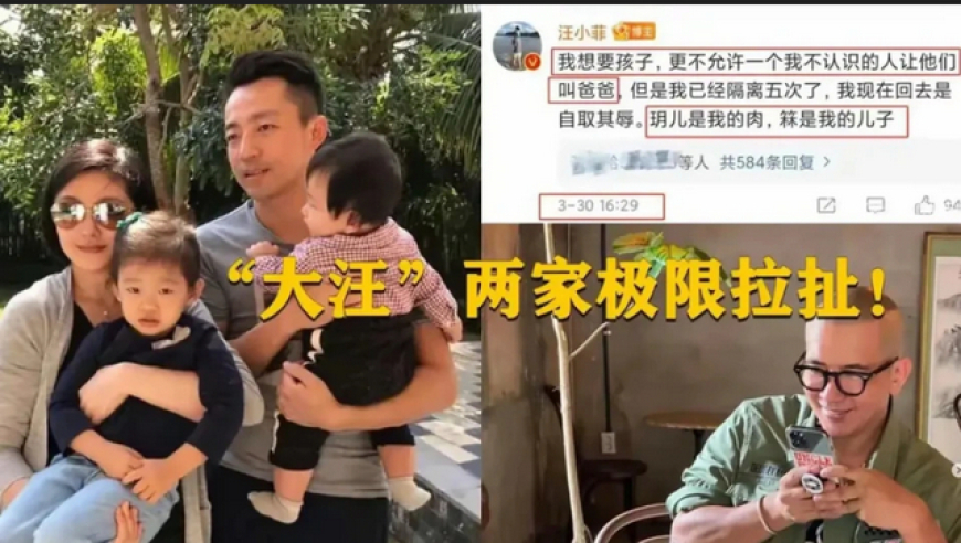 张兰揭露王菲与李亚鹏疑似婚外情证据，一地鸡毛！