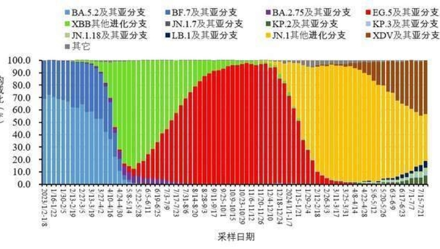 嗓音奇特瘙痒，新冠毒株KP.2/3感染情况如何？