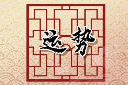 小乖麻 本周运势提醒：2024/8/19-8/26