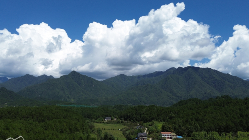 海量陕南特色：游玩一天只需刷三次还不够的神秘小镇