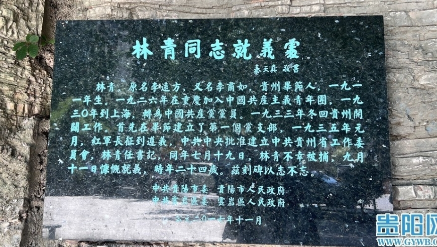 从青春到使命：林青书记24岁慷慨牺牲，诠释了对人民和战友的深沉爱戴与无私奉献