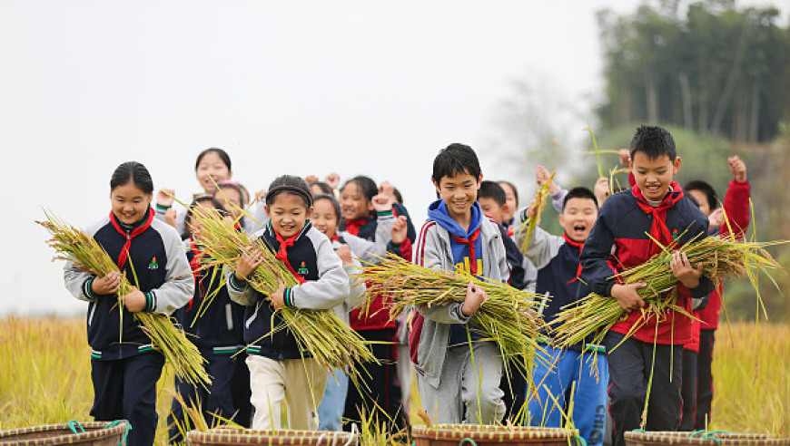 北青快评：给孩子最好的暑期礼物——田间地头的体验式学习