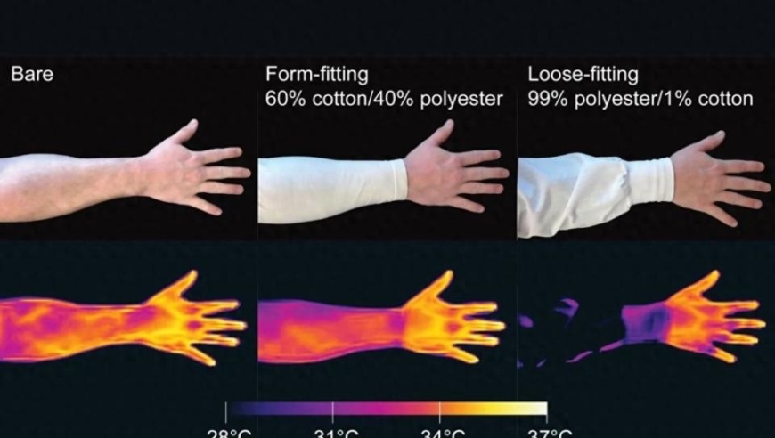 生物学视角探索：了解生物红外探测器，蚊子眼中的科技奥秘