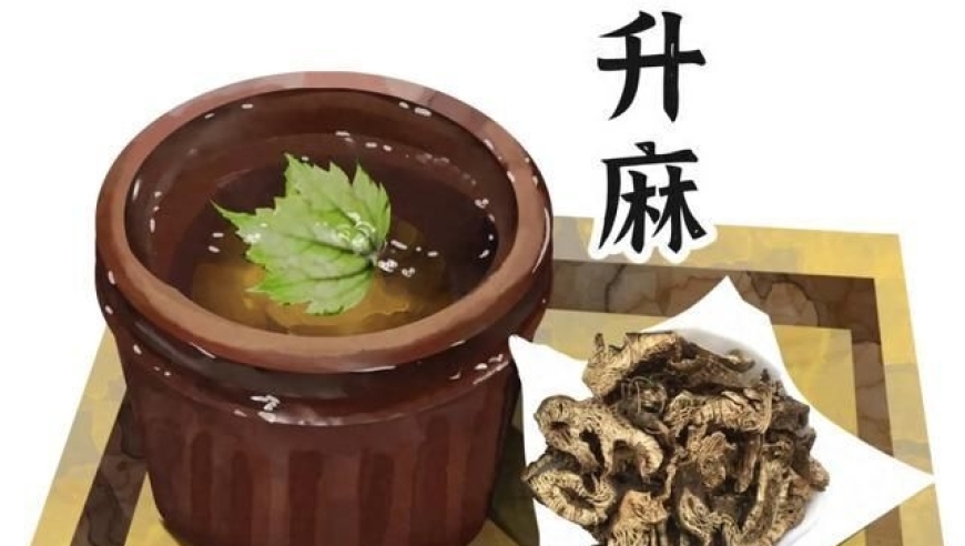 《本草纲目》中的升麻——解毒妙方：提升生命活力与健康状况

升麻的神秘力量：《本草纲目》解毒秘籍，全面提升生活品质