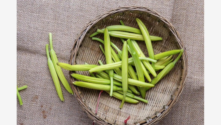 提高免疫力：如何安全地食用黄花菜？