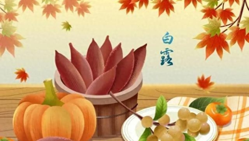 秋意渐浓，白露养生有妙招：食品疗法与日常保健指导——秋意渐浓时的健康饮食与生活习惯