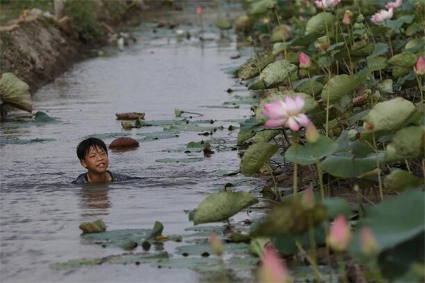 梦见自己在洪水中游泳：寓意与解读

或者

梦到水中的游泳：网络上关于该主题的解析