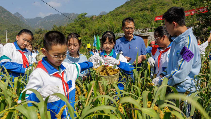 京西深山的孩子们共享丰收的喜悦：一个别具一格的庆祝丰收节活动