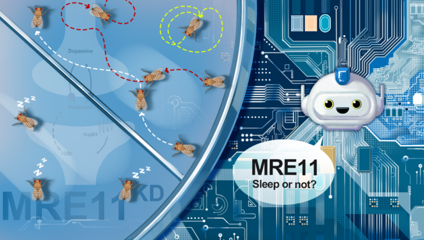 揭秘社交信号与睡眠关系：大型模型解析社交媒体参与者行为背后的分子机制