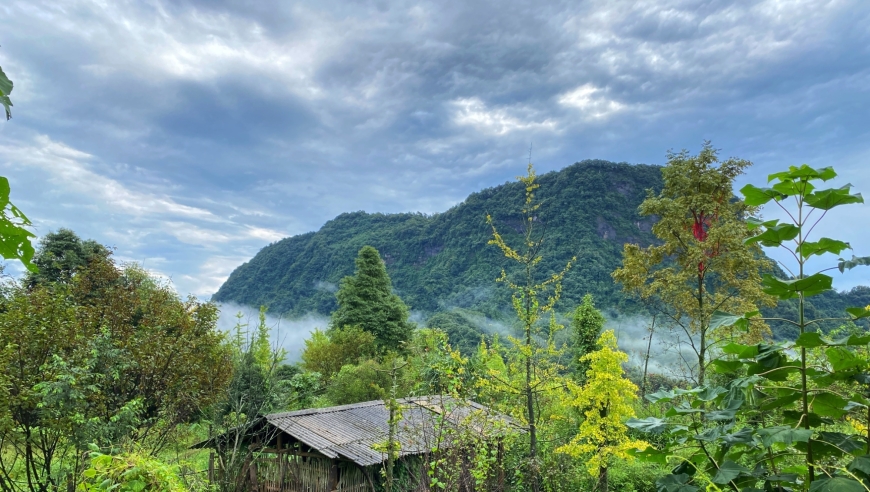 青城山秋日山居生活记录：全面的旅游攻略与详细的心得体会