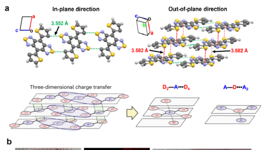 中国科学院杭州医学所揭示新型小分子活体拉曼成像技术，开启新型医疗诊疗新纪元