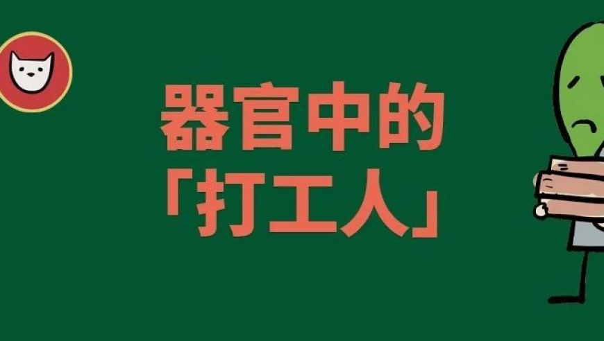 史上最‘无用’的器官为何能成为最无私的奉献者？请善待他们！