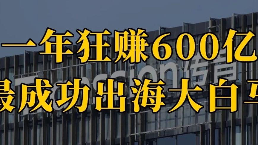 全球最大出海公司：一年狂赚600亿 A股神话般的盈利模式解析