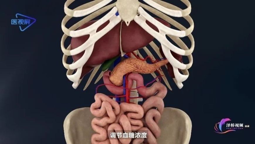 防微杜渐，牢记：别把胰腺癌误认为是胃病