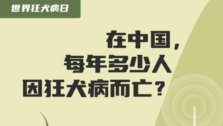 中国每年约有70万人因狂犬病去世：世界狂犬病日提醒我们需要保护自己和动物