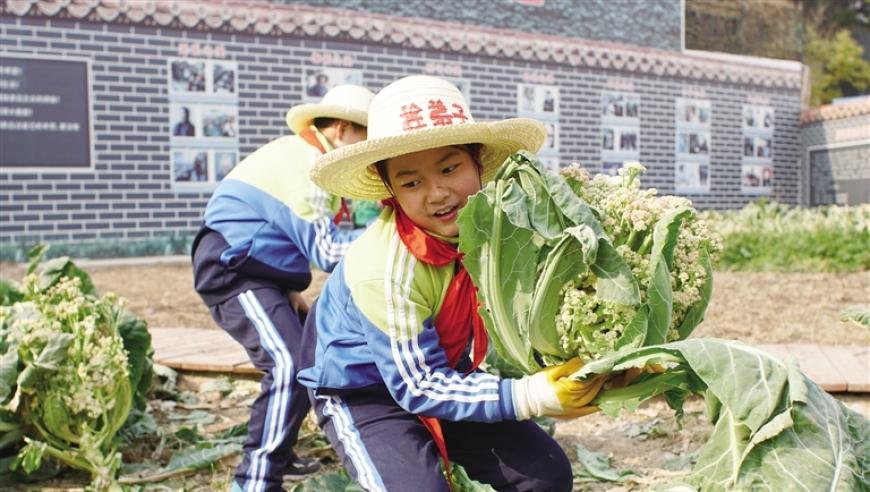 儿童在线教育的普及：让每个孩子都能实现优质教育的梦想