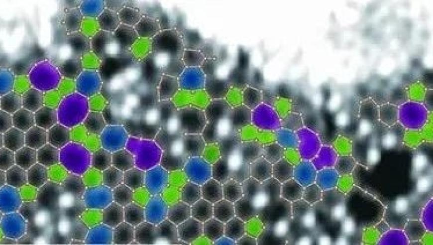 科学家探索新途径，成功制备氮掺杂非晶单层碳