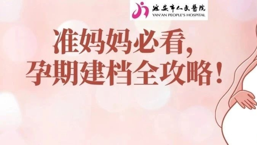 如何成功完成孕期全程的准备和妊娠登记？这份怀孕手册为您详细解答