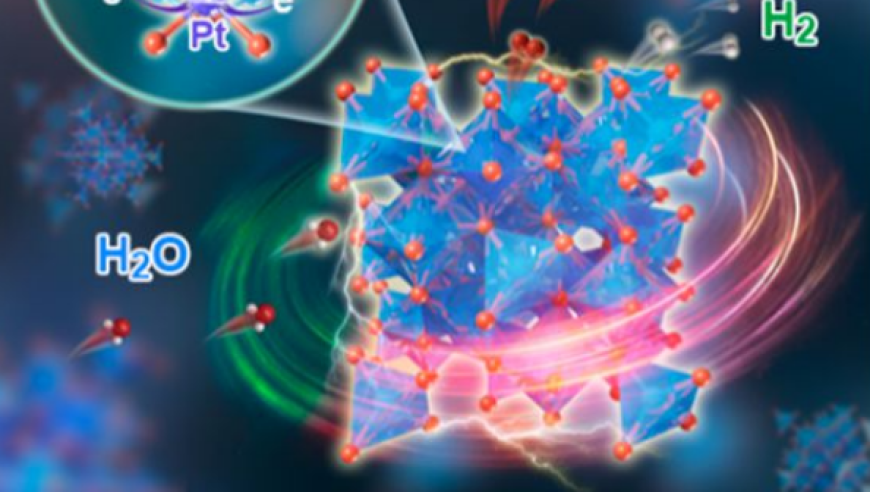 浙江大学研发低金属含量双功能催化剂，性能稳定并大幅度降低成本

请问我还可以为您提供什么帮助吗？